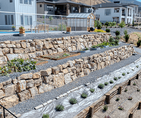 close-up-large-tube-pasta-with-chicken-cherry-tomato-with-chopped-parsley