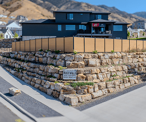 delicious-customs-food-plate